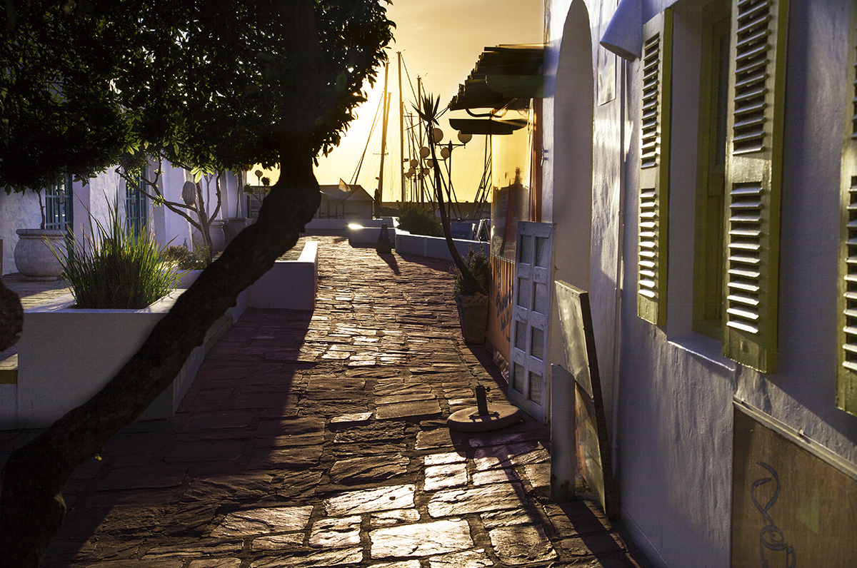 Landscape 28